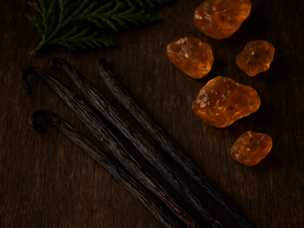 Cats, Bats and Witchy Hats